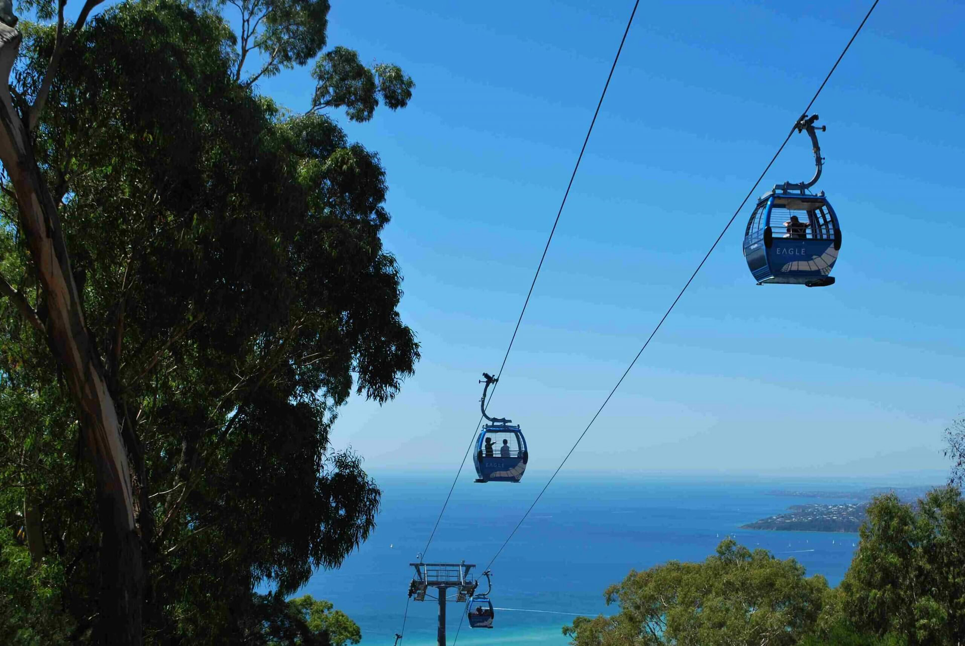 Arthurs Seat Eagle 1