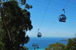 Arthurs Seat Eagle 1