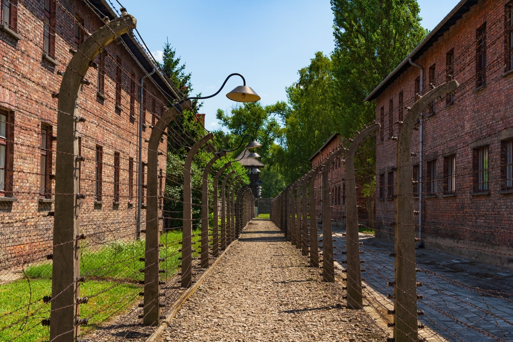 Auschwitz 4