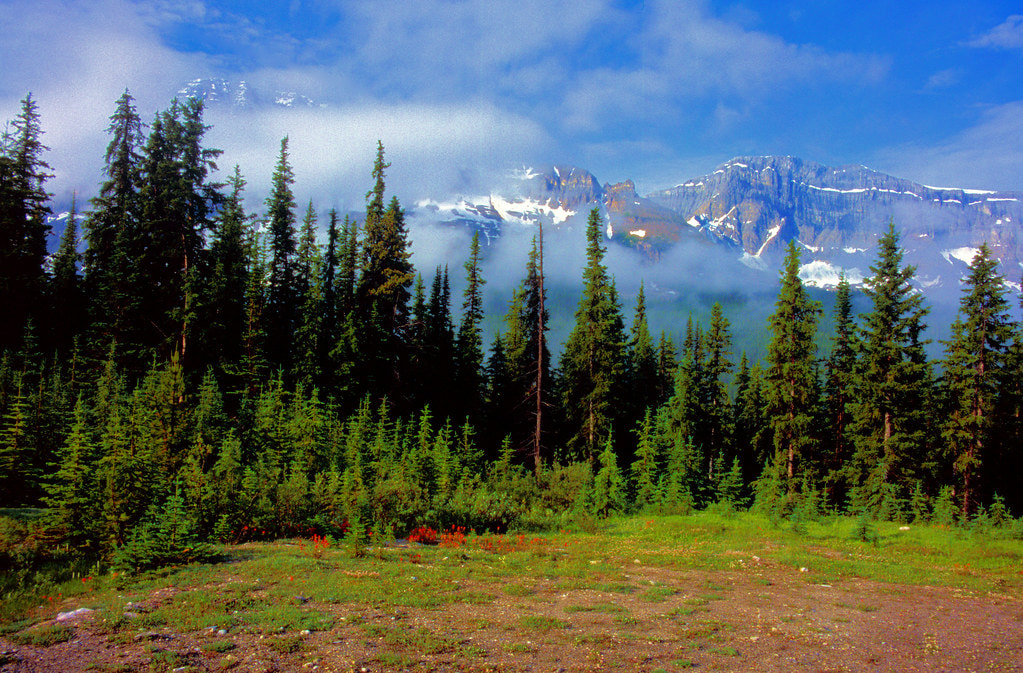 Banff National Park 1