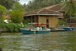 Bentota River Safari 1