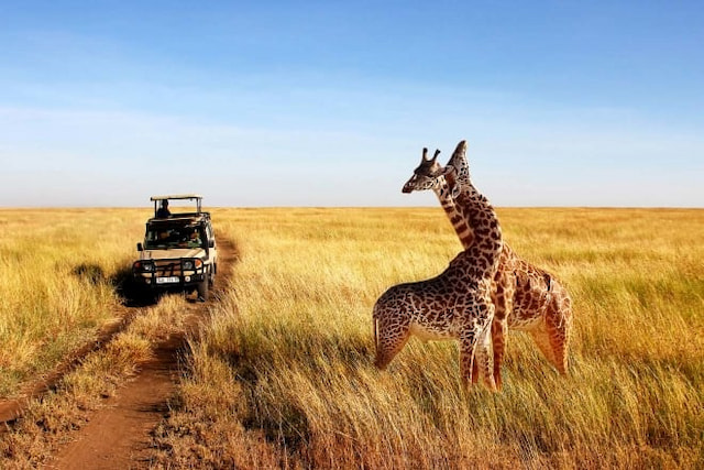 best of tanzania and kenya safari
