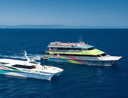 big cat green island