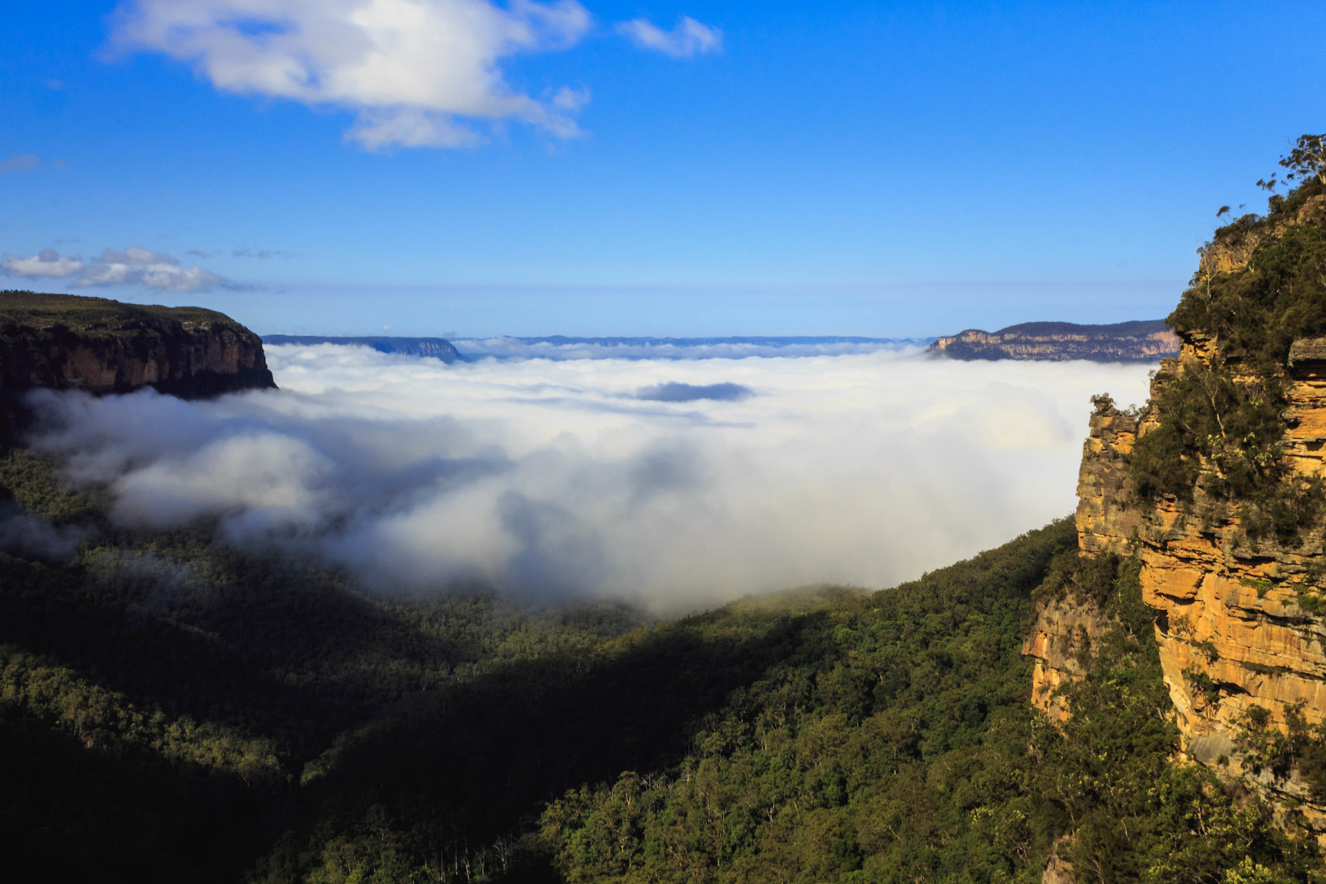 Blue Mountains 1