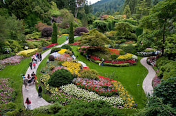 Butchart Garden