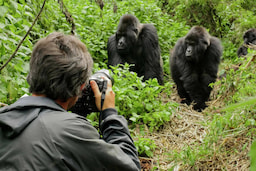 Bwindi Impenetrable National Park