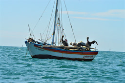 Cabo Blanco Boat Ride 