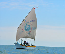 Cabo Blanco Boat Ride 