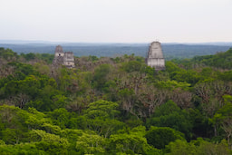 Calakmul Biosphere Reserve 1