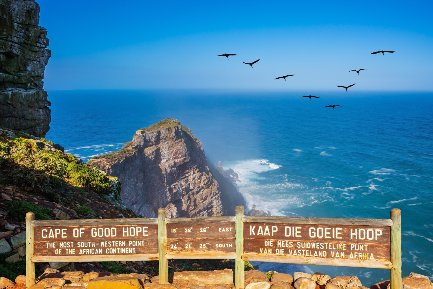 Cape Of Good Hope 