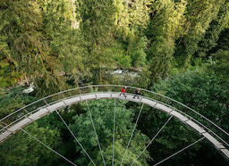 Capilano Suspension Bridge