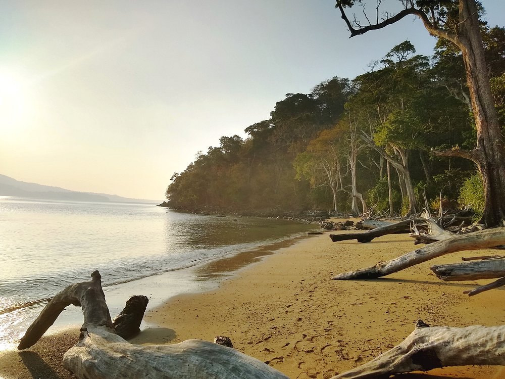 Chidiya Tapu Tour Andaman