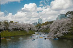 Chidorigafuchi Park