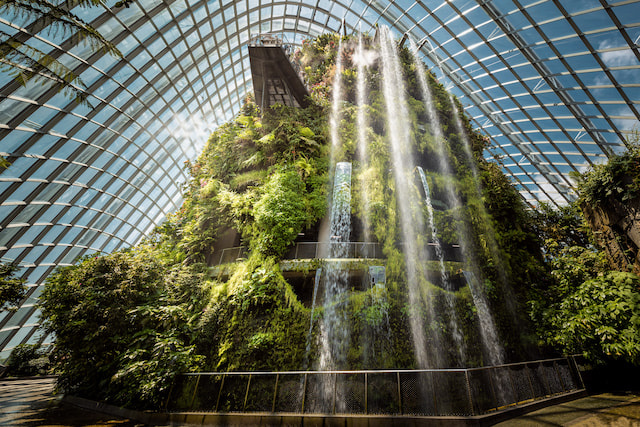 cloud forest singapore