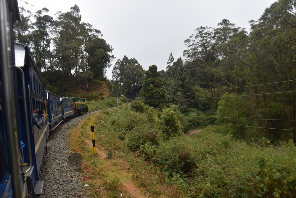 Coonoor