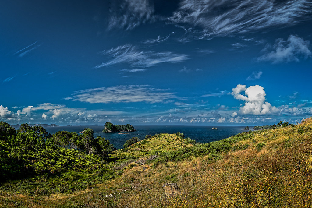 Coromandel Peninsula 1