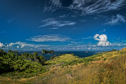 Coromandel Peninsula 1