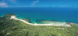 Daintree Overview 1