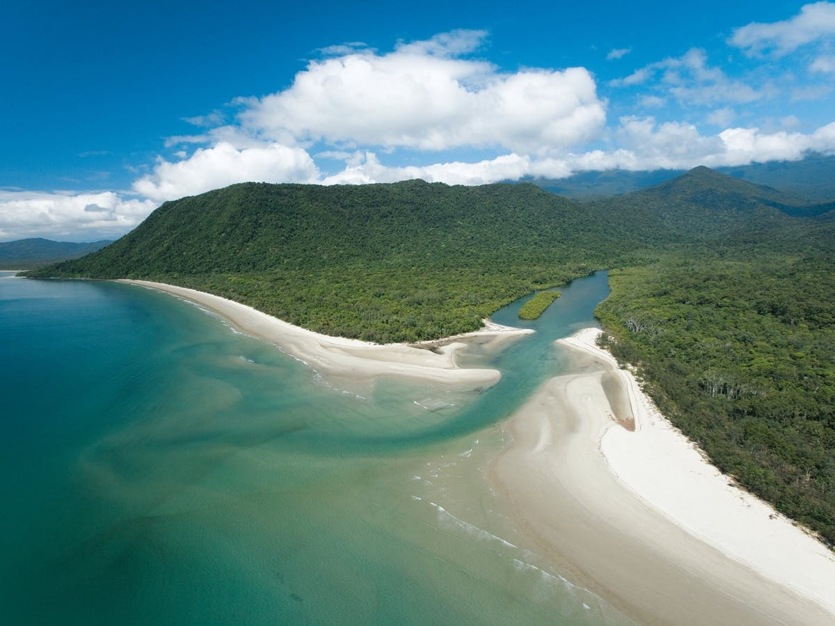 Daintree Overview 2