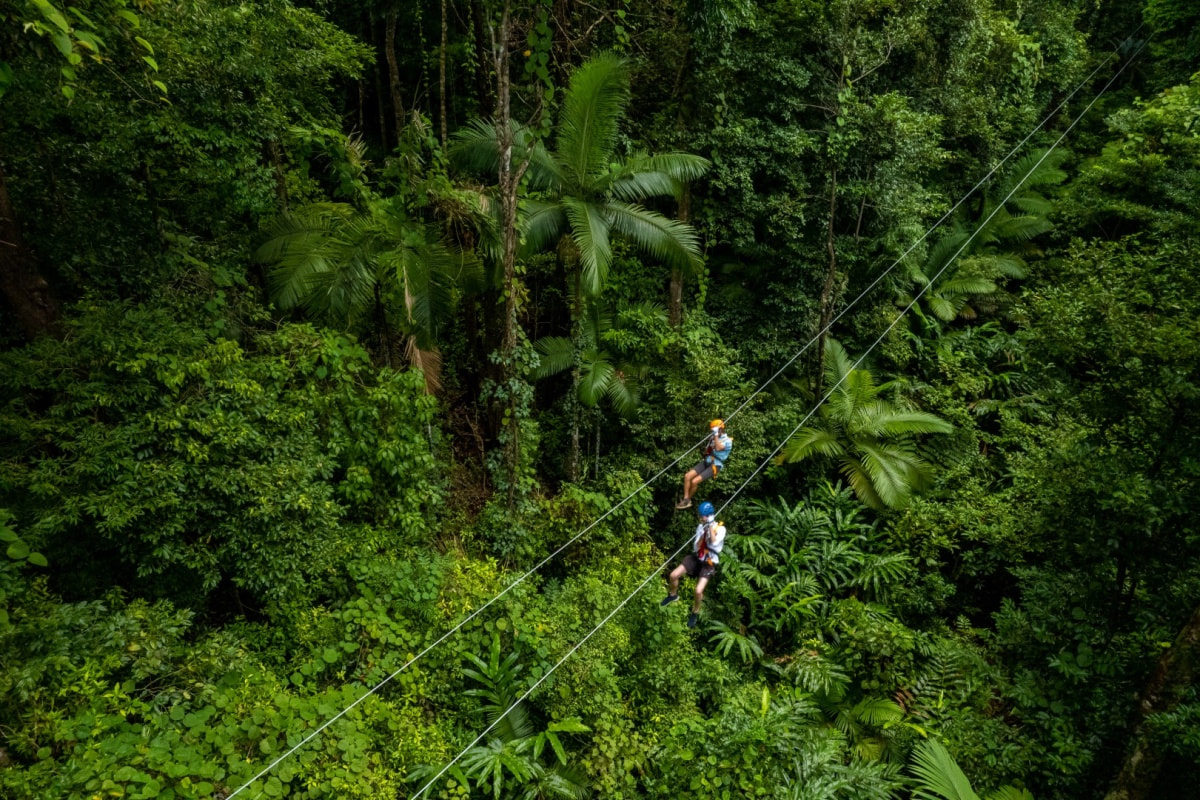 Daintree Zipline 1