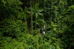 Daintree Zipline 1