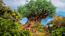 Disney’s Animal Kingdom 1