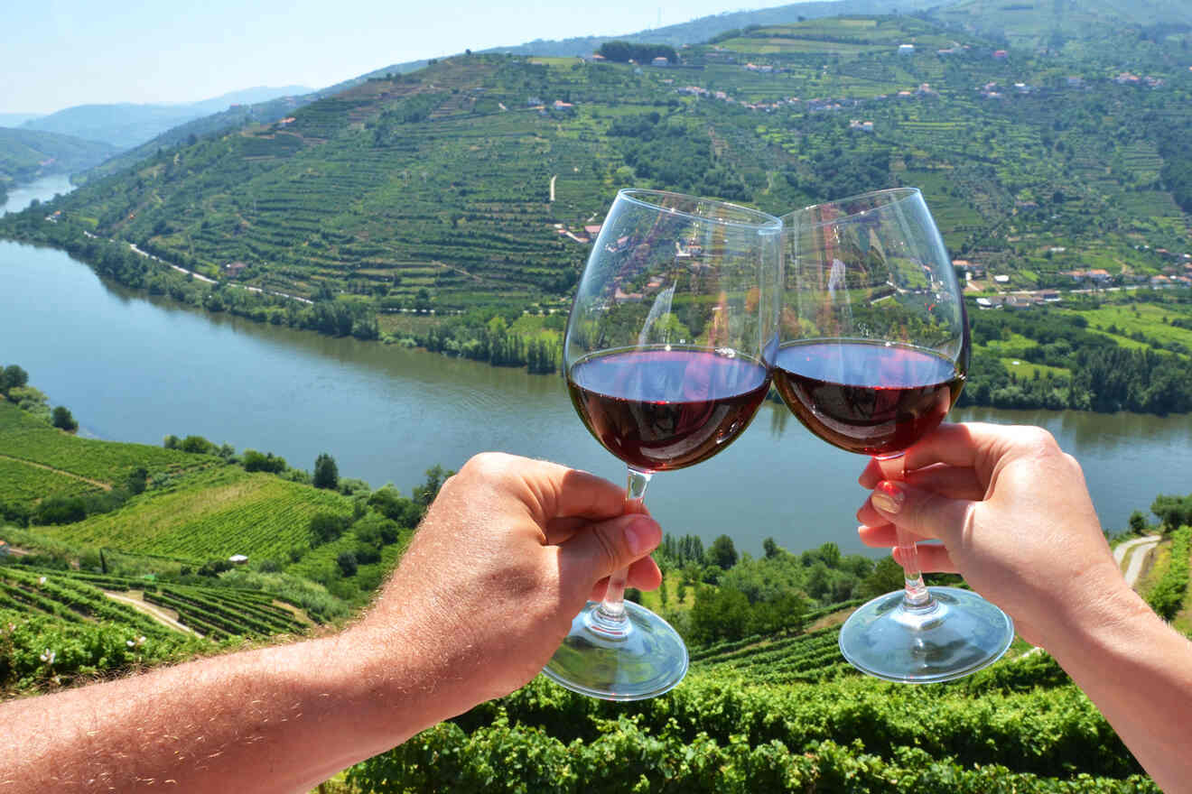 Duoro Valley Tour with Wine Tasting