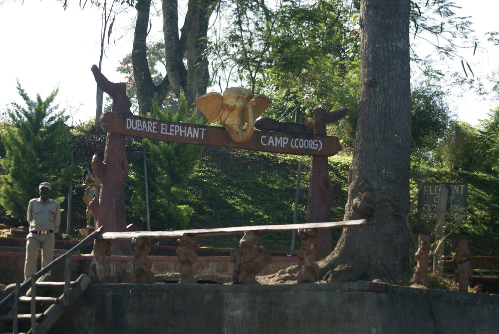 Dubare Elephant Camp