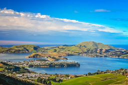 Dunedin City