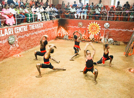 Enjoy The Martial Art & Cultural Show