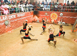 Enjoy The Martial Art & Cultural Show