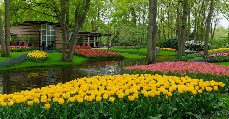 Kuekenhof Gardens