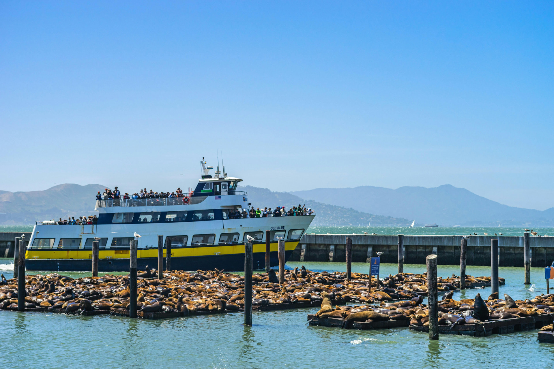 Experience the Bay Cruise
