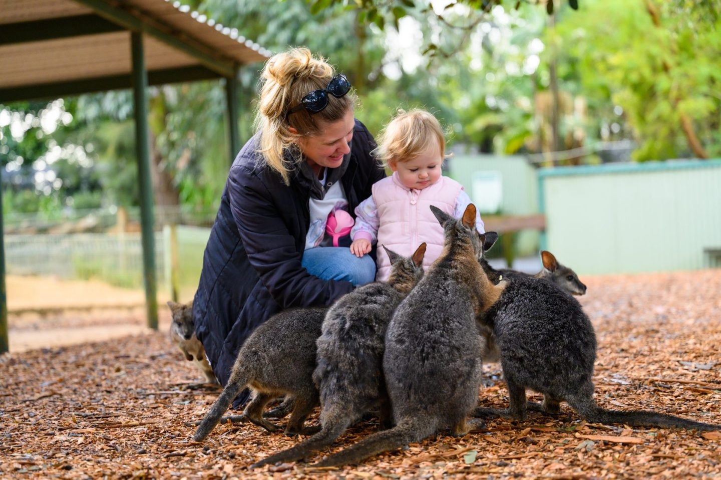 Featherdale Wildlife Park 1