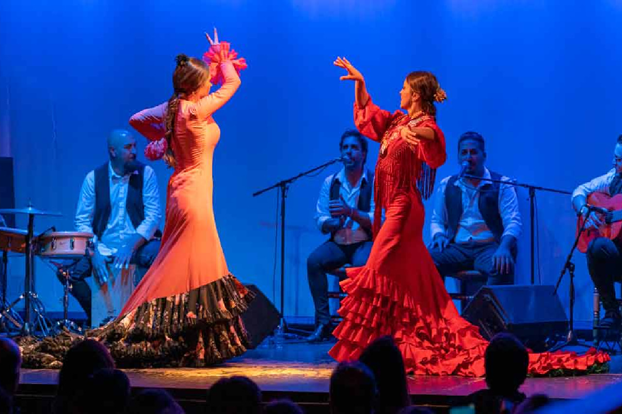 Flamenco Show