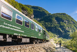 Train Journey Flamsbana-1