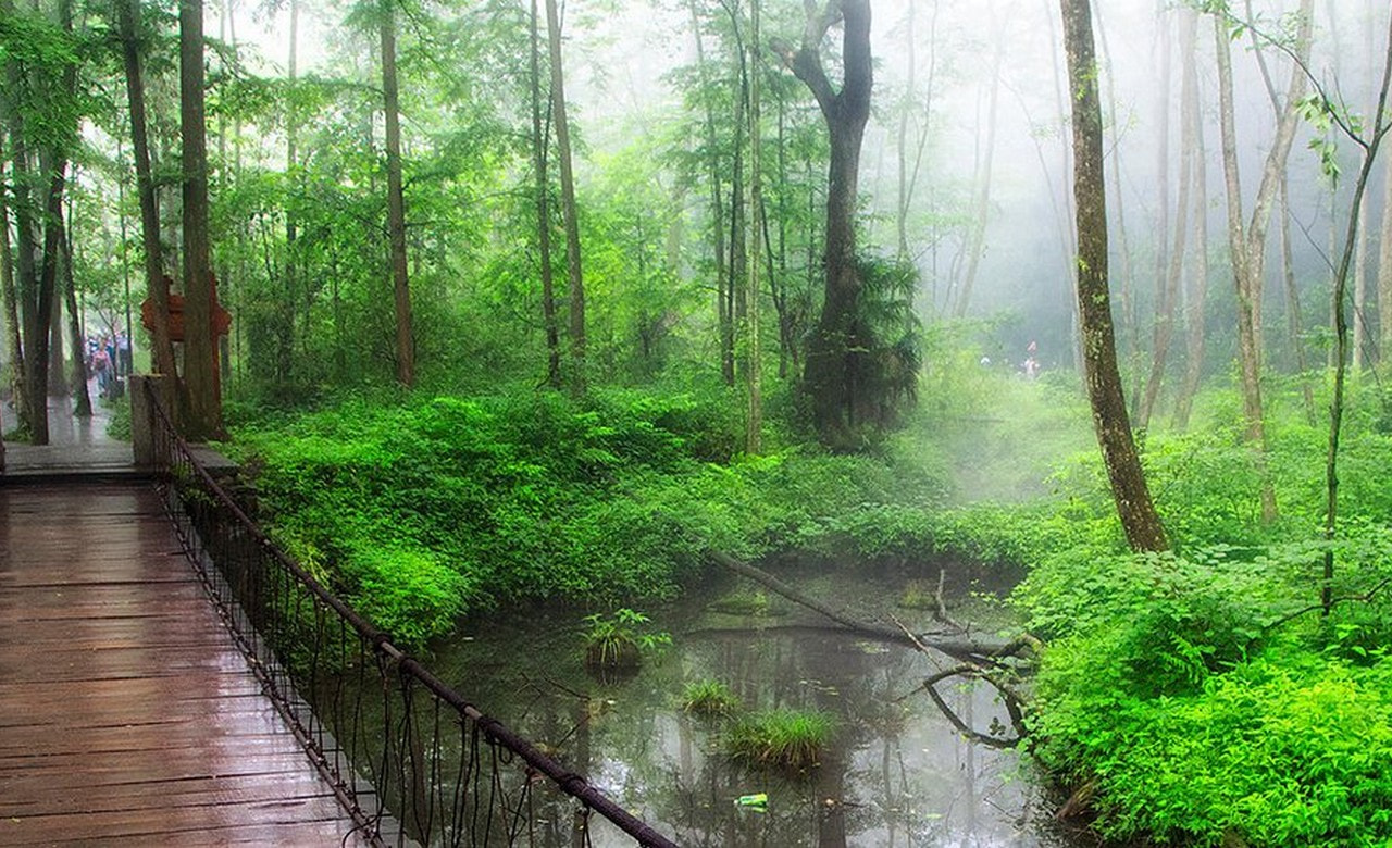 Zhangjiajie National Forest Park