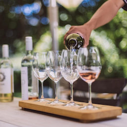 Franschhoek Wine Testing