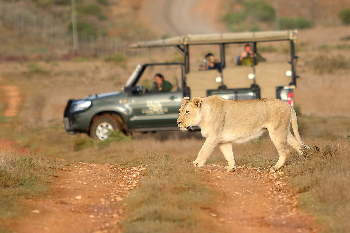 Garden Route Game Lodge