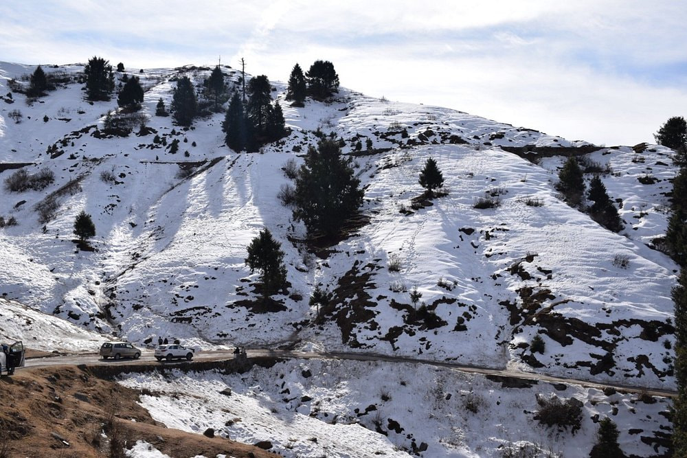 Go for Trek to Dainkund Peak