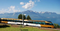 Golden Pass Line
