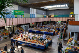 Green Bazaar 1