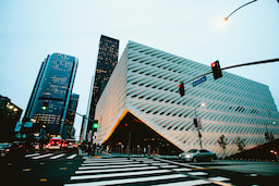 Guided City Tour of Los Angeles