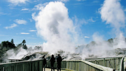 Guided tour of Te Puia Thermal Reserve