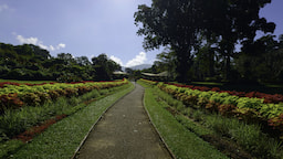 Hakgala Botanical Garden 1