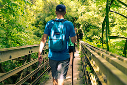 Hana Rainforest Adventure Tour