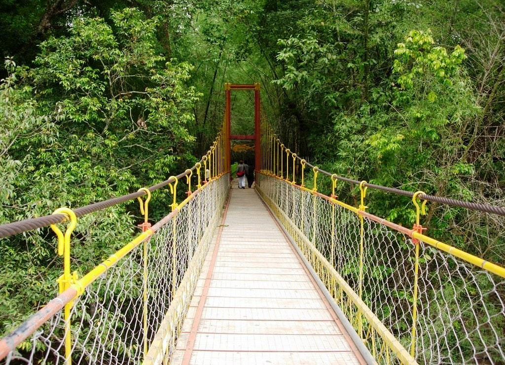 Hanging Bridges 