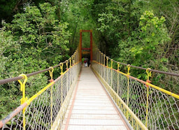 Hanging Bridges 