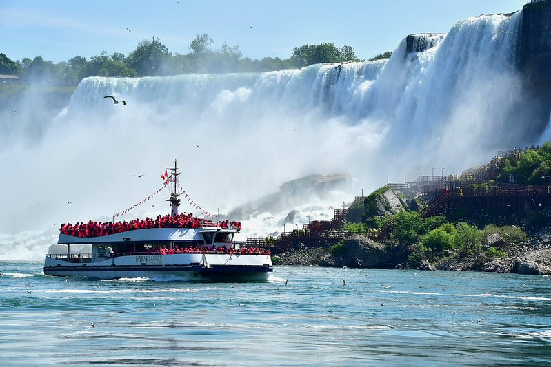 Horn Blower Cruise 1