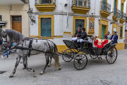 Horse Carriage Ride